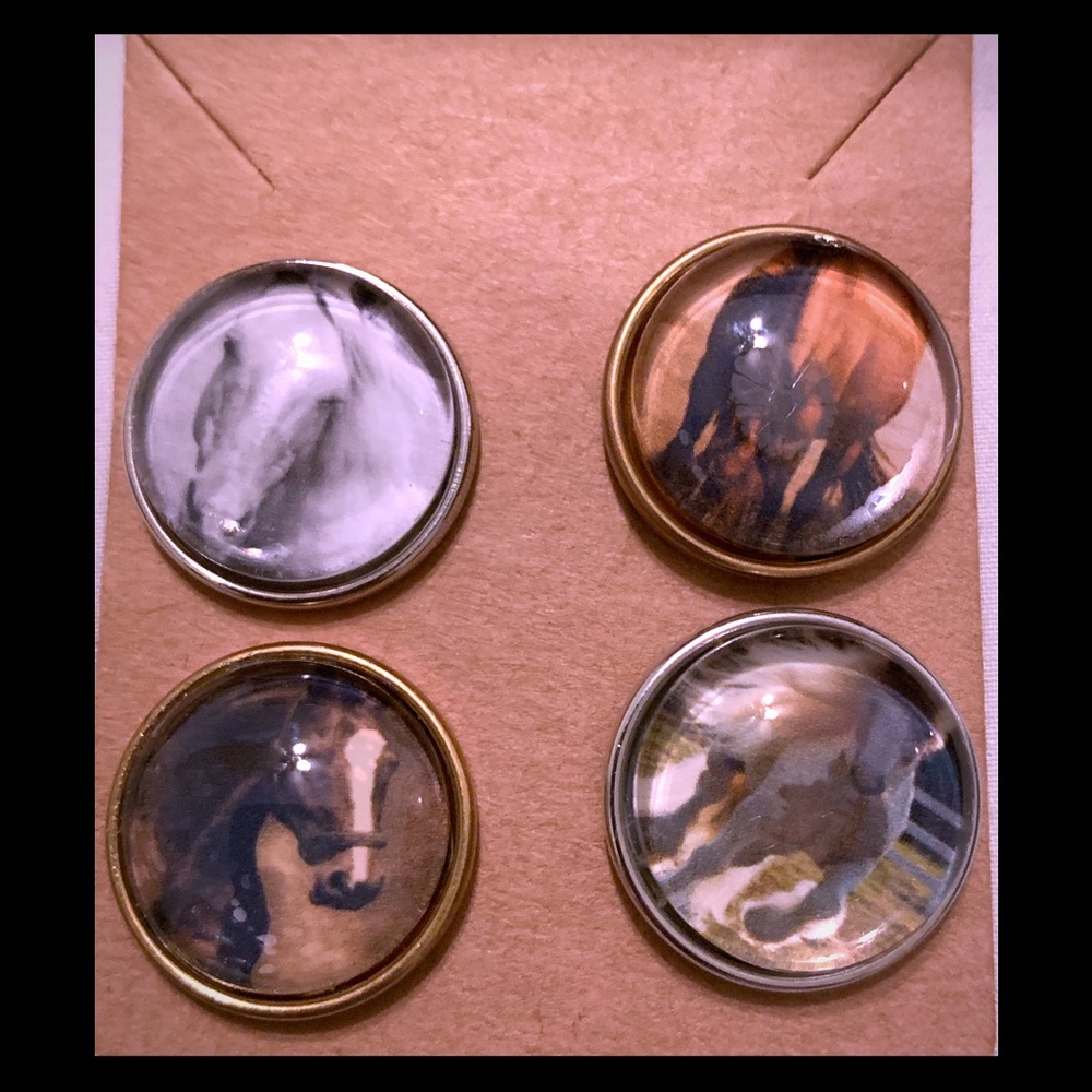 COPY - 4 horse 🐎 Ginger Snap buttons